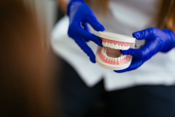  Brier, WA Holistic Dental Care Services Pros